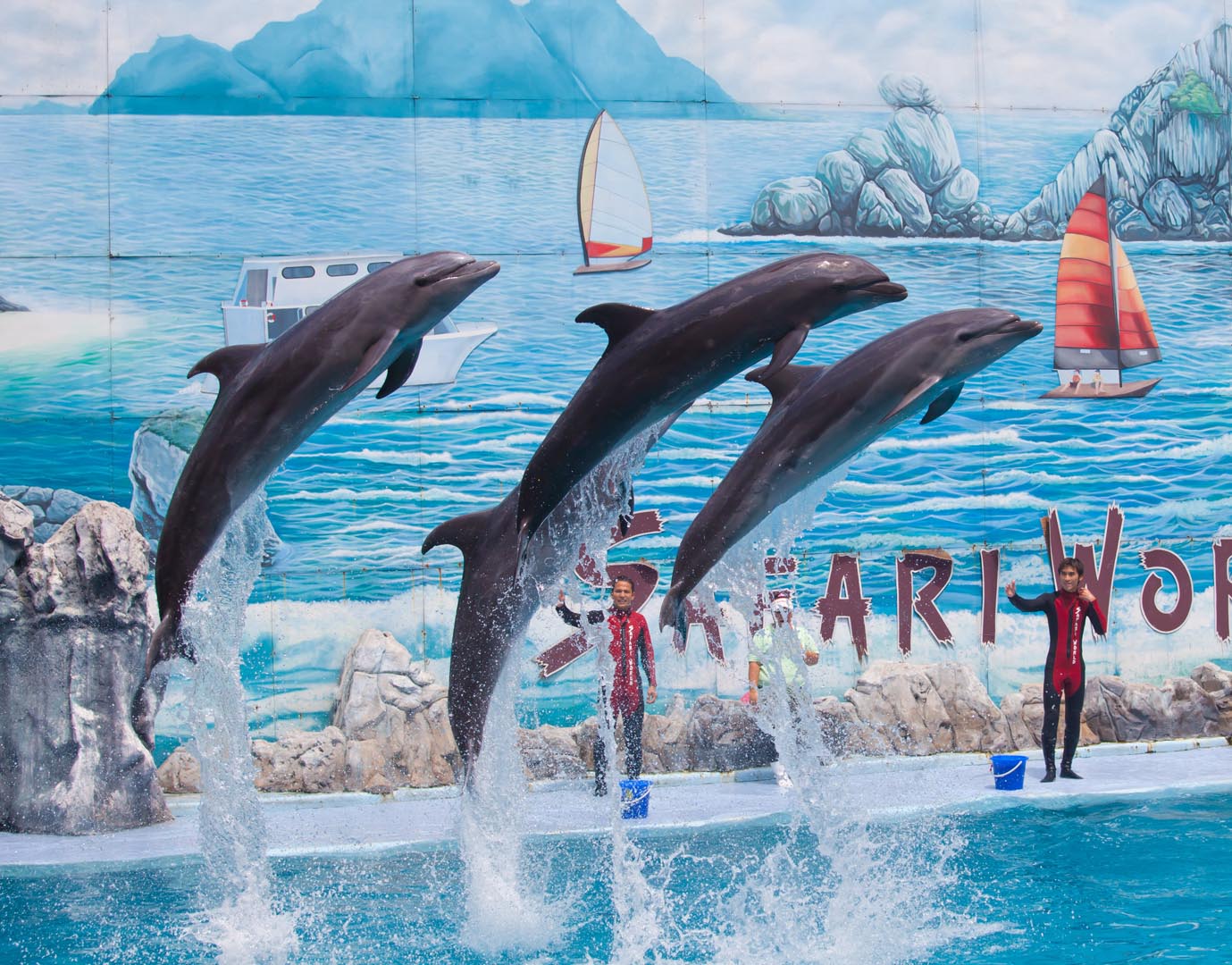 https://d3r8gwkgo0io6y.cloudfront.net/upload/Dolphine show.jpg